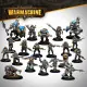 Warmachine - Cygnar Gravediggers Core Expansion Favoriet