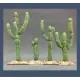 Saguero Cacti Lage Prijs