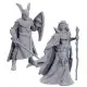 D&D Nolzur‘s Marvelous Unpainted Miniatures Limited Edition 50th Anniversary Elves Rechtstreeks Van De Fabrikant