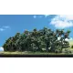 Woodland Scenics - Hedgerow 6 cm Exclusieve Aanbieding
