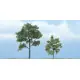 Alleen Vandaag Woodland Scenics – Locust
